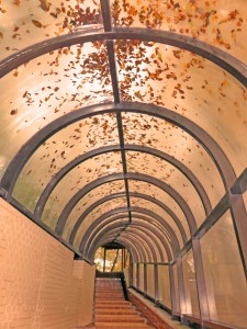 紅葉のトンネル